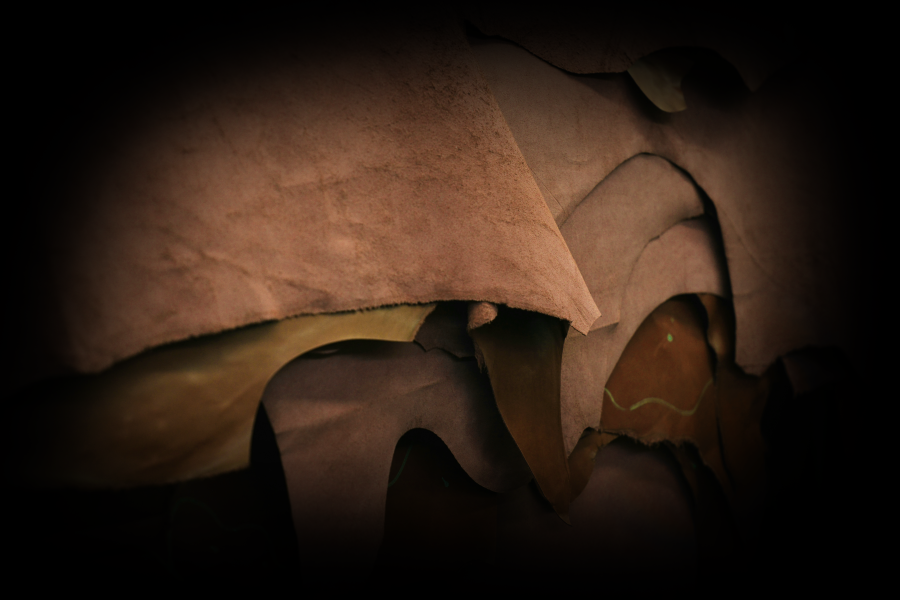 m0851-jFkRkea2TX0-unsplash